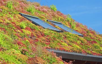 Park Close living roof systems